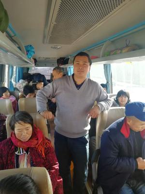 回来路上