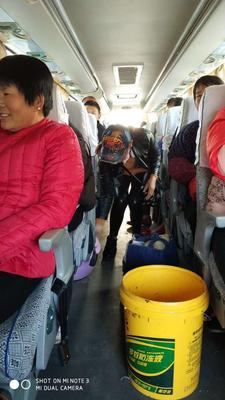 微信图片_20171206084117