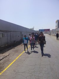 psb333.jpg543