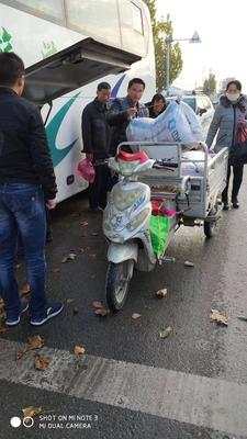 工人行李装车